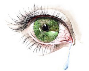 cactus eye (series C)